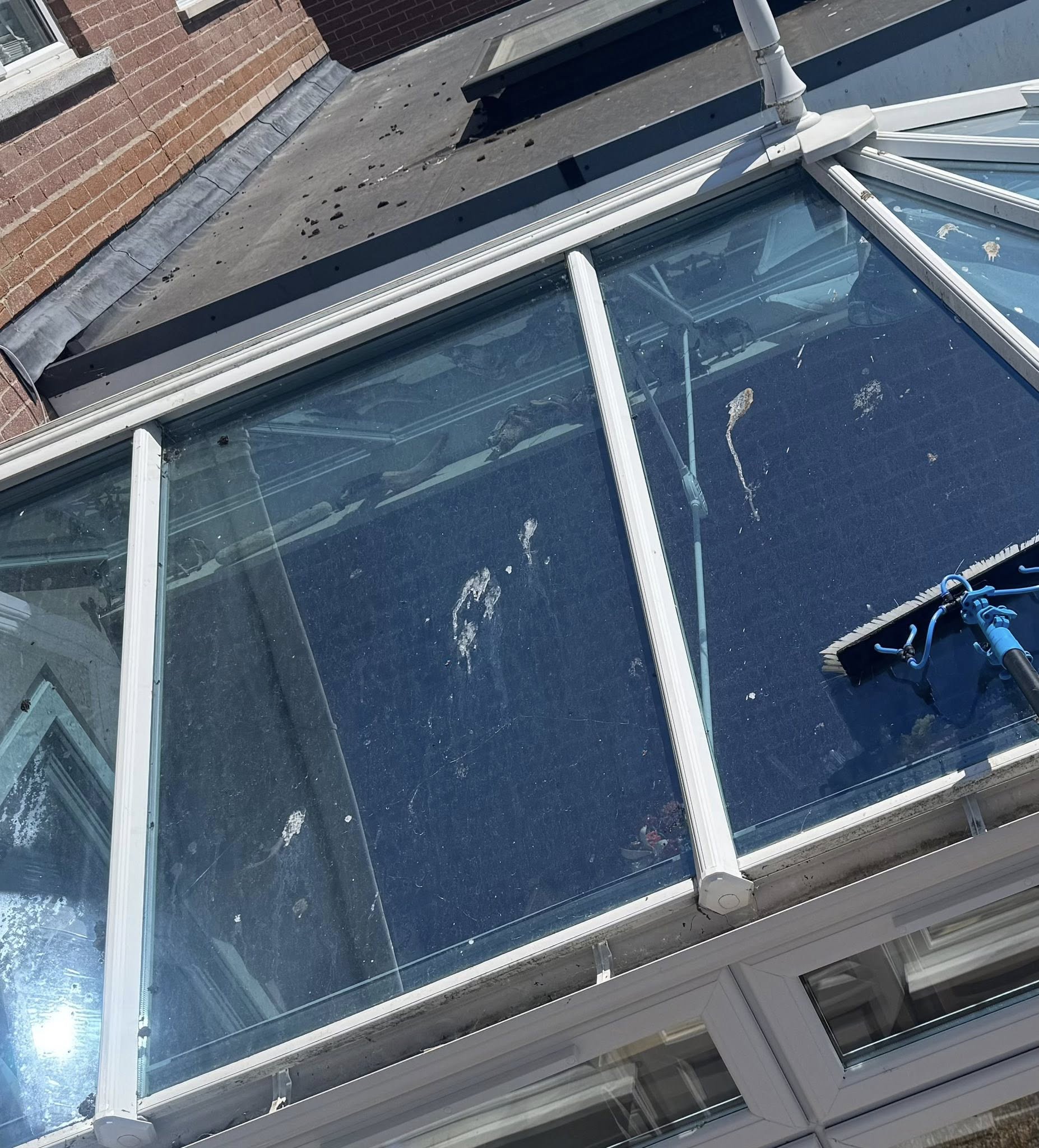 Glass conservatory roof in Weymouth covered in bird feces