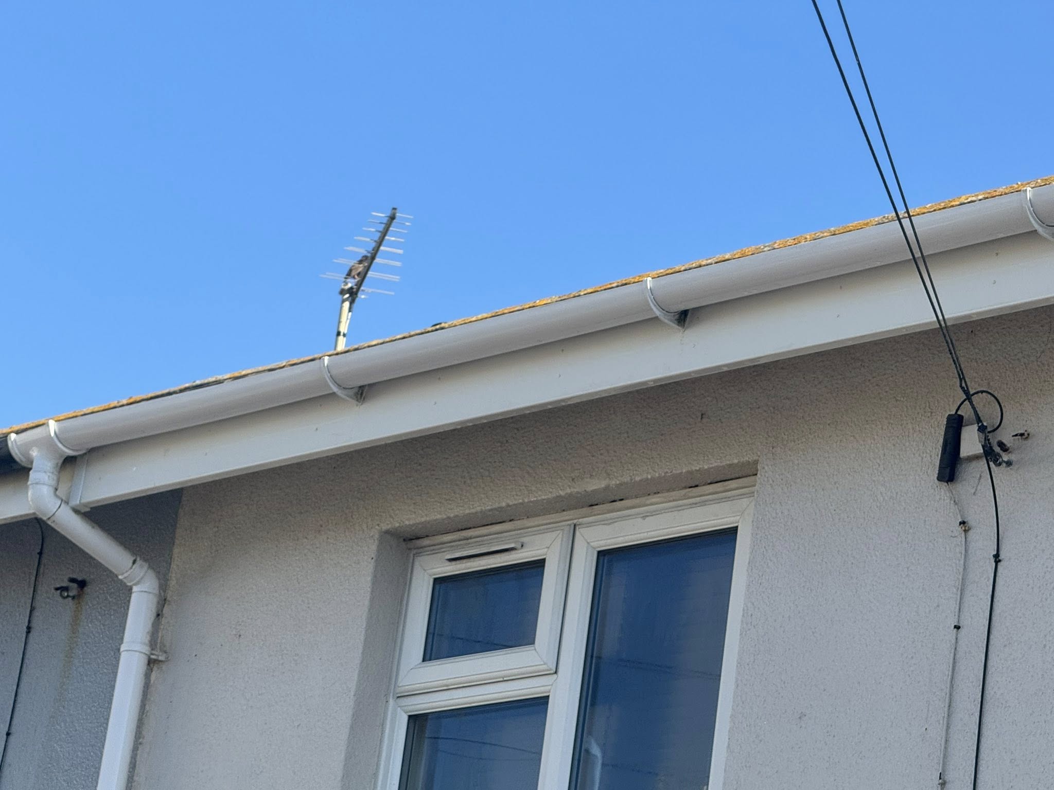 Gutter cleaning of a house in Weymouth