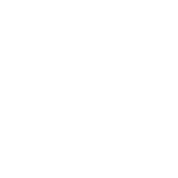 roof (10) Roof icon