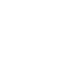 store (2) Shop icon